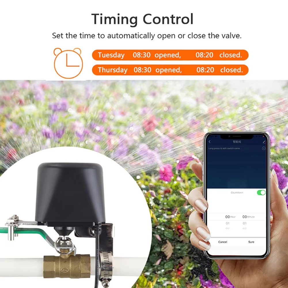 Tuya Zigbee atau Wifi Katup Ai - Smart Garden Zigbee ulasan dan harga