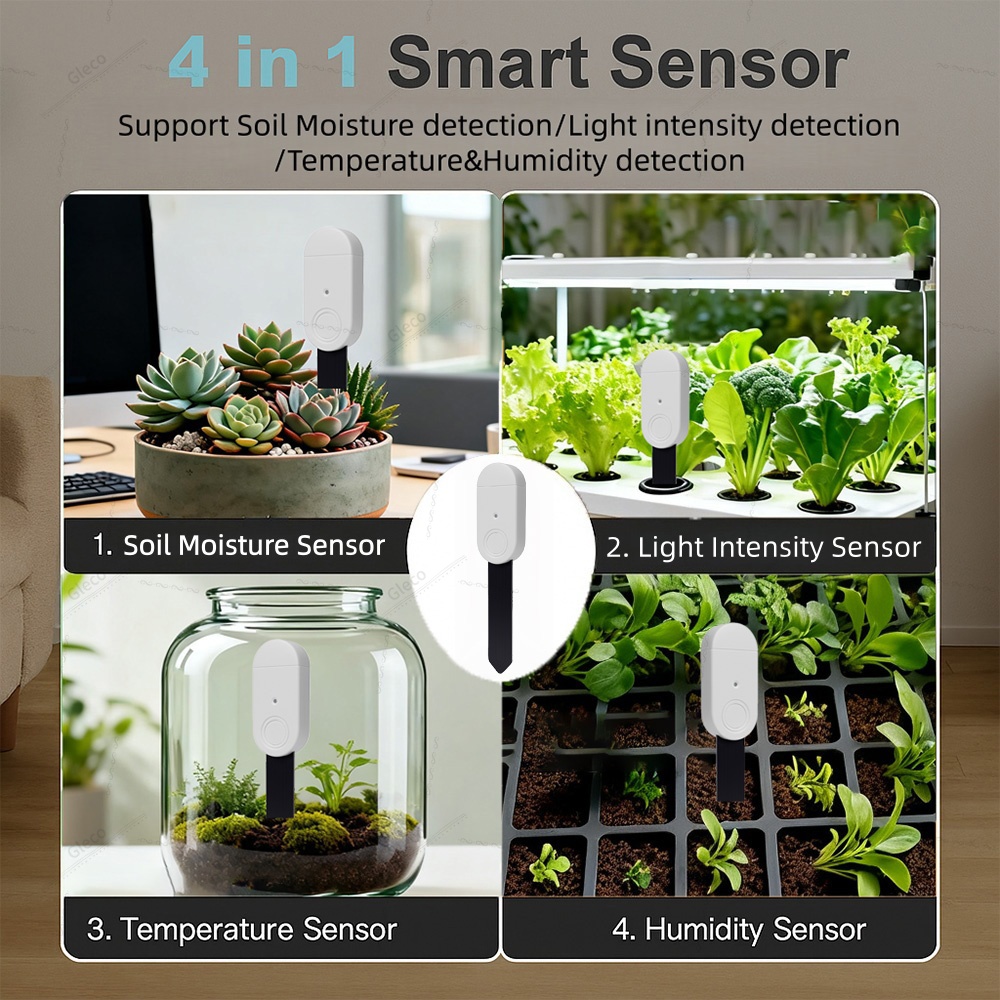 Sensor Kelembapan Tanah Zigbee - Smart Garden Zigbee ulasan dan harga