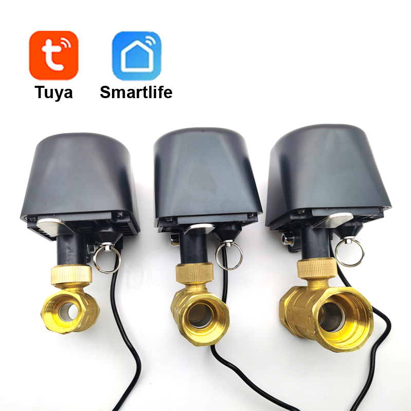 Tuya WiFi atau Zigbee Katup Ai - Smart Garden Zigbee ulasan dan harga